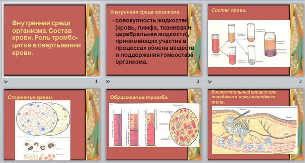 Внутренняя среда организма состоит из жидкостей