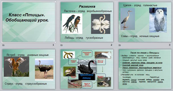 Проверочная работа класс птицы 8 класс биология