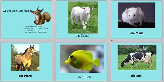Разработка и презентация урока по немецкому языку на тему Die Tiere