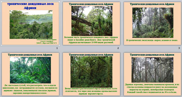 Презентация по географии Тропические дождливые леса Африки