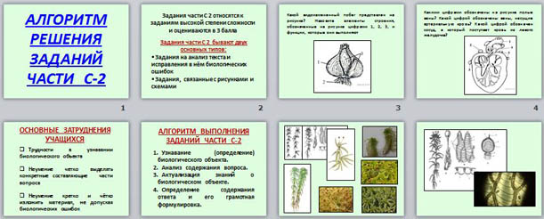 Презентация по биологии Алгоритм решения заданий части С2