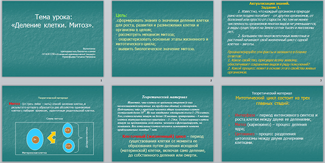 Презентация по биологии Деление клетки. Митоз