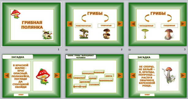 Презентация по биологии Грибная полянка
