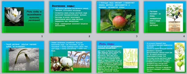 презентация по биологии Роль воды в жизнедеятельности растений