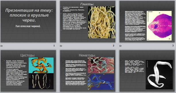 Презентация к уроку биологии Плоские и круглые черви