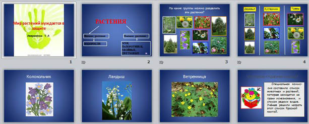 Презентация для начальных классов Растительный мир нуждается в защите