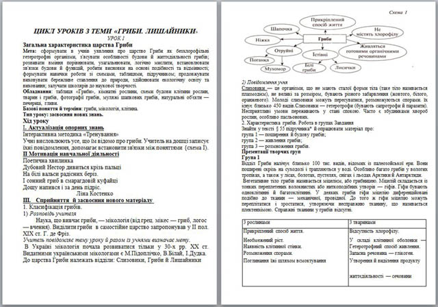 Урок биологии на тему Грибы