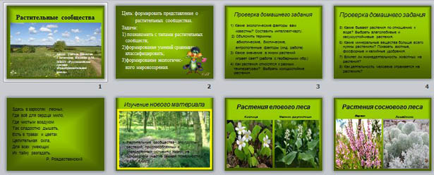 Параграф 17 биология растительные сообщества. Типы растительных сообществ. Типы растительных сообществ таблица. Таблица по биологии растительные сообщества. Буклет растительное сообщество.