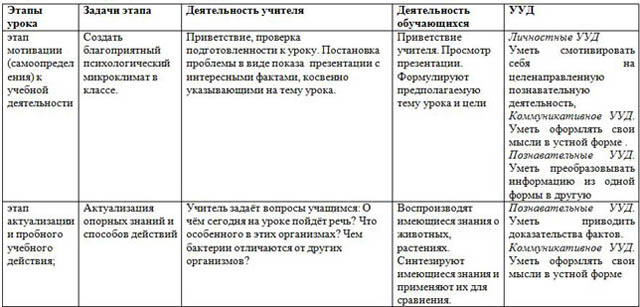 Урок биологии по теме Бактерии