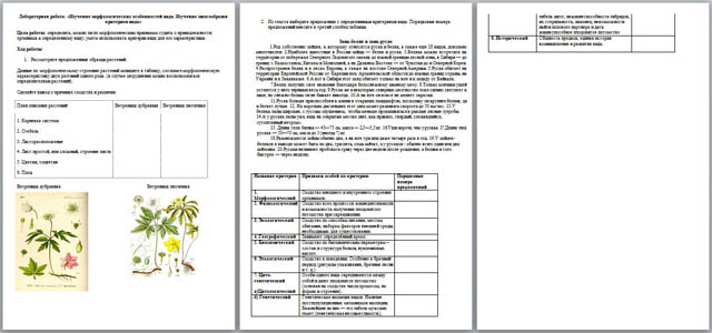 Биология 9 класс лабораторная 3. Морфологические критерии растений лабораторная.