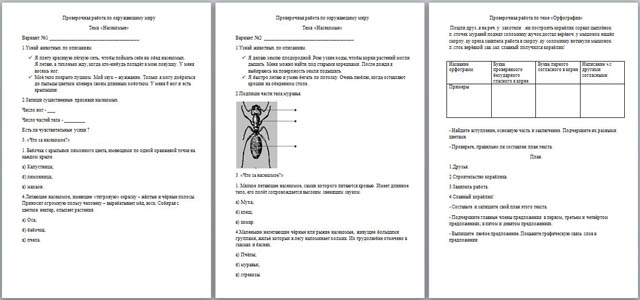 Проверочная работа по окружающему миру Насекомые