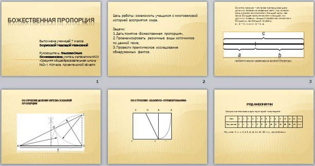 Презентация по математике Божественная пропорция