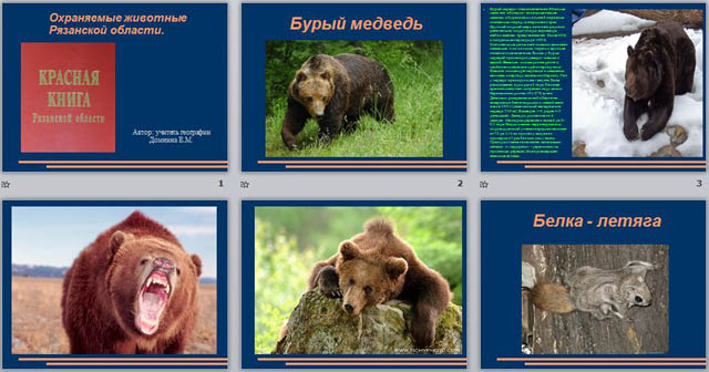 Животные красной книги рязанской области фото и описание для детей 2 класса