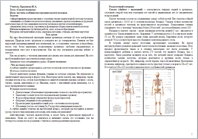 Конспект по биологии 8 класс