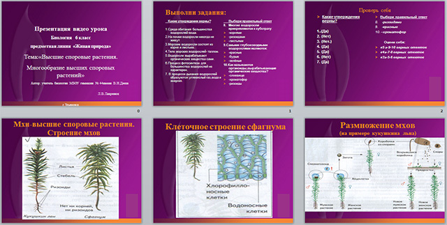 Презентация высшие споровые растения 5 класс презентация