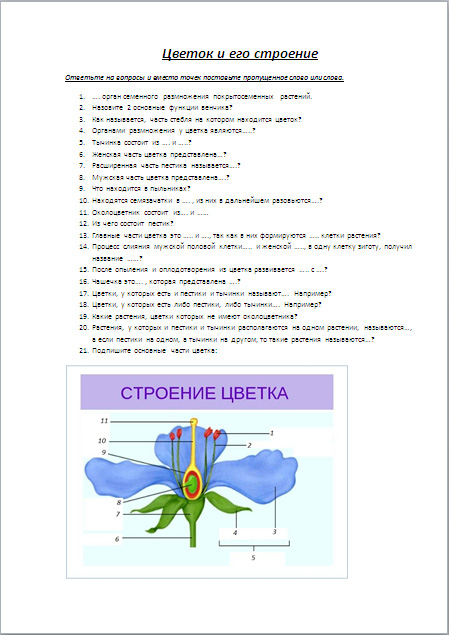 Работа по теме строение