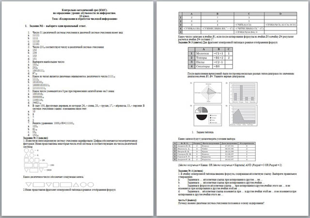 Тест по информатике Кодирование и обработка числовой информации