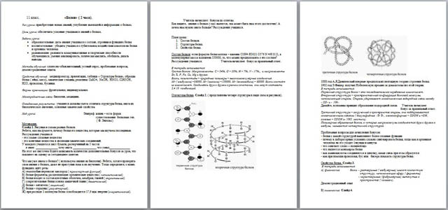 Урок химии по теме Белки