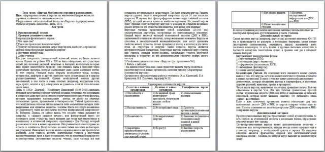 Конспект урока по биологии на тему Вирусы