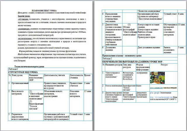 Класс земноводные конспект урока 8 класс