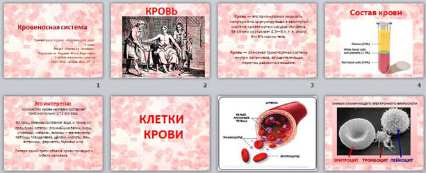 Презентация для начальных классов Кровеносная система человека