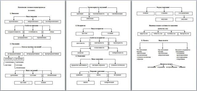 Познавательные процессы нарисовать схему