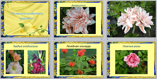 Презентация для начальных классов по теме Растения необычной красоты