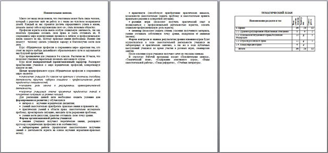 Программа элективного курса по предпрофильной подготовке Юридическая профессия в современном мире