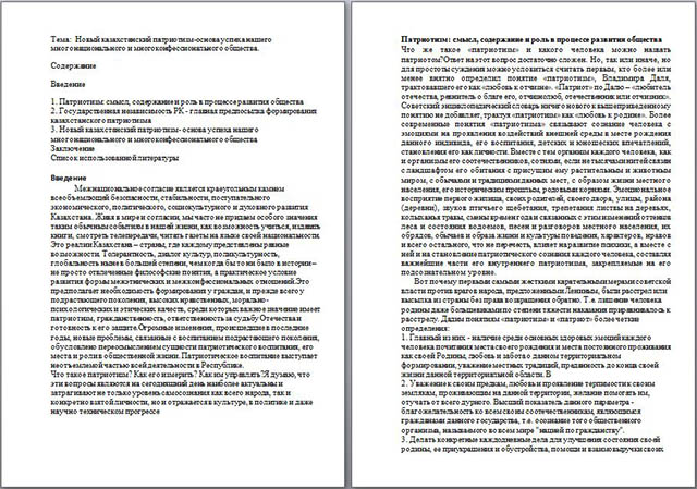 материал на тему Новый казахстанский патриотизм-основа успеха нашего многонационального и многоконфессионального общества