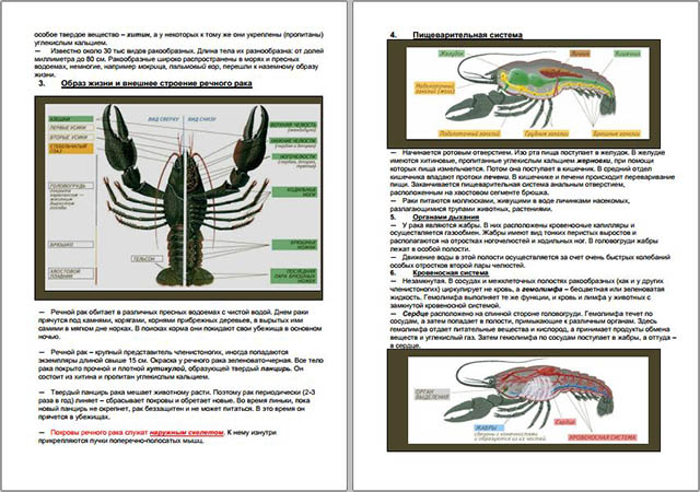 Конспект урока по биологии Класс ракообразные