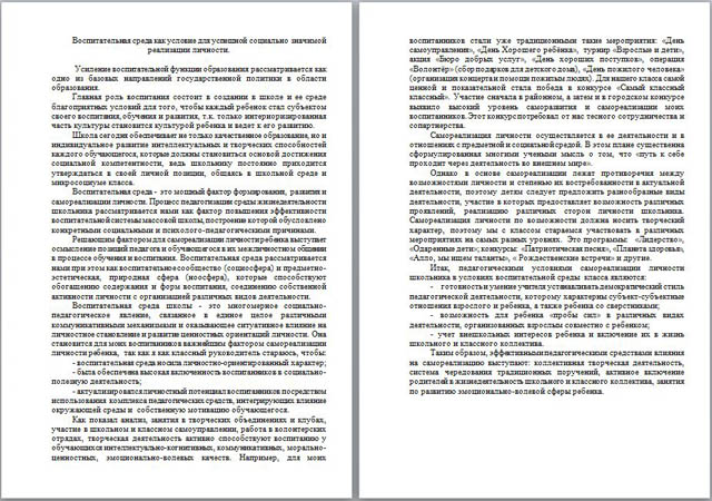 Материал на тему Воспитательная среда как условие для успешной социально значимой реализации личности