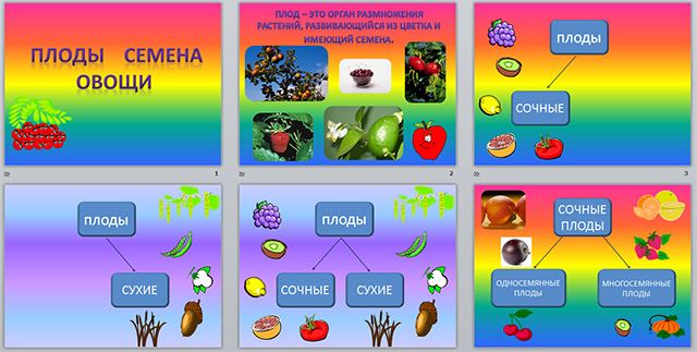 Конспект и презентация урока для начальных классов по теме Плоды. Семена. Овощи