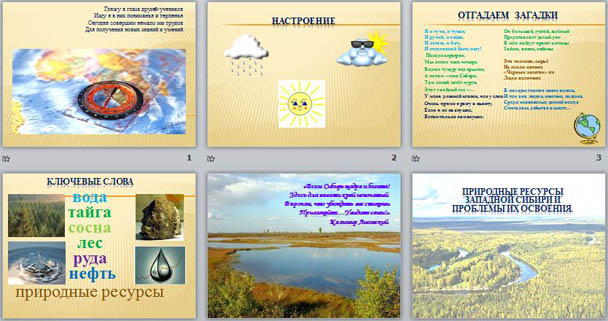 презентация по географии Природные ресурсы Западной Сибири и проблемы их освоения