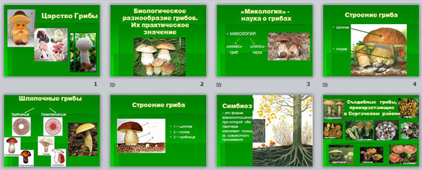 презентация по биологии Биологическое разнообразие грибов. Их практическое значение