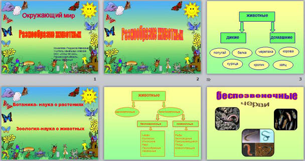 Презентация по окружающему миру Разнообразие животных