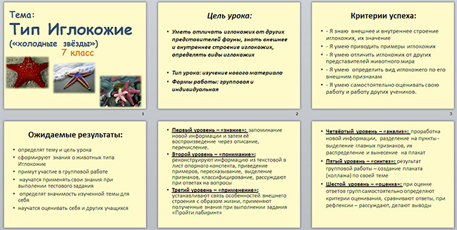 Разработка и презентация урока по биологии по теме Тип Иглокожие