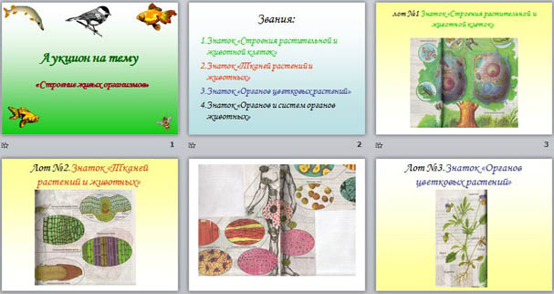 Презентация по биологии Строение живых организмов