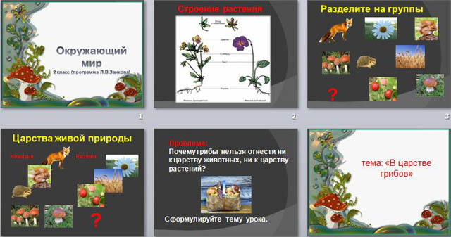 презентация по окружающему миру для начальных классов Путешествие в царство грибов