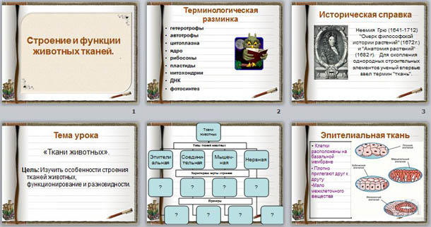 Презентация к уроку биологии Строение и функции животных тканей