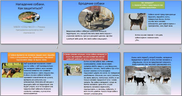 Осторожно бродячие собаки презентация