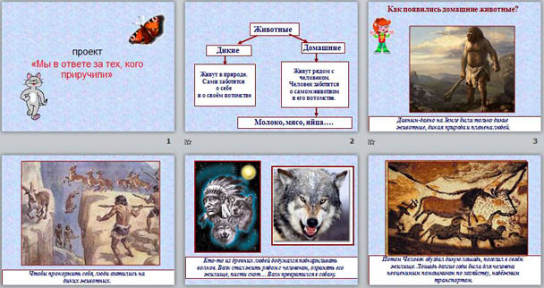Презентация-проект для начальной школы Мы в ответе за тех, кого приручили