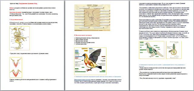 Конспект урока по биологии на тему Внутреннее строение птиц