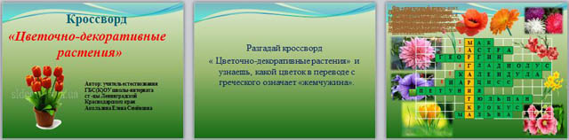 Интерактивный кроссворд по биологии Цветковые растения