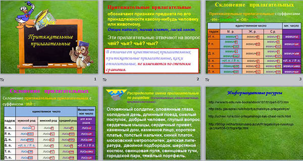 Презентация по русскому языку Притяжательные прилагательные