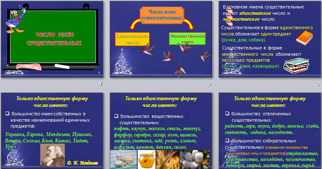 Презентация по русскому языку Число имен существительных