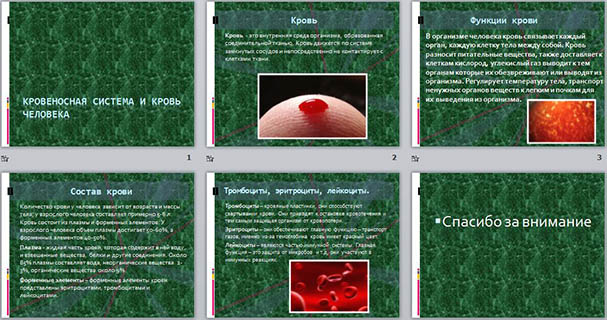 Презентация к уроку биологии на тему Кровеносная система и кровь человека