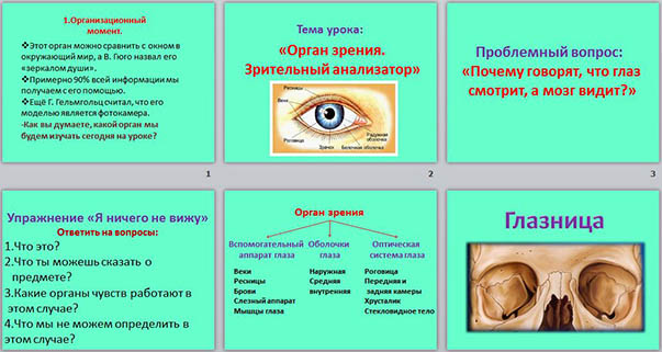 презентация по анатомии на тему Орган зрения. Зрительный анализатор