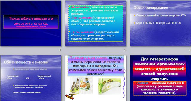 Презентация по биологии на тему Обмен веществ и энергии в клетке