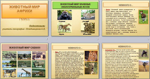 Животные география 7 класс. Буклет Африка. Буклет по Африке. Буклет путешествие по Африке. Буклет на тему путешествие по Африки.