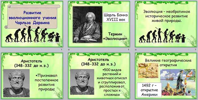 Обобщающий урок по теме эволюция 11 класс презентация